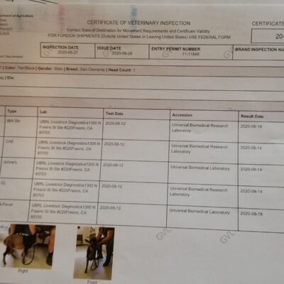 What is a Certificate of Veterinary Inspection?